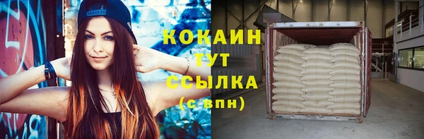 шишки Аркадак