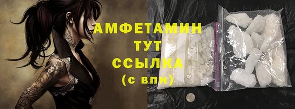 шишки Аркадак
