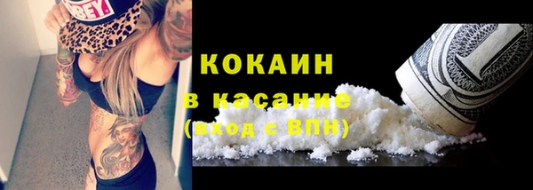 шишки Аркадак
