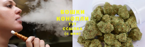 шишки Аркадак