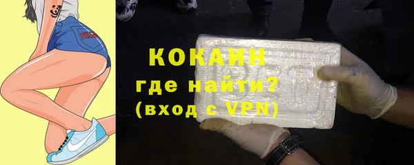 шишки Аркадак
