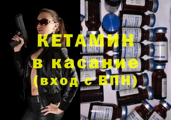 шишки Аркадак
