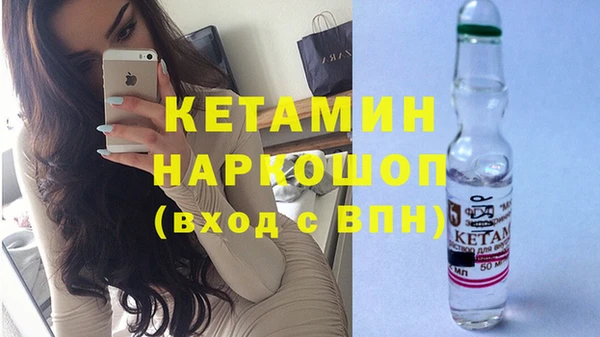 шишки Аркадак