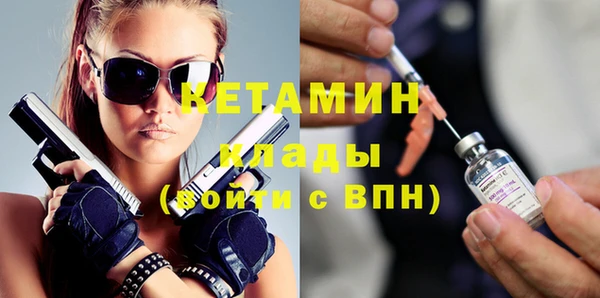 шишки Аркадак