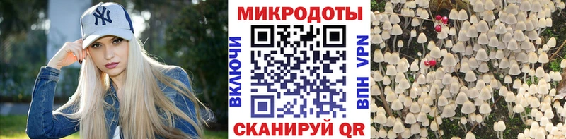 Купить где  Алексин  Псилоцибиновые грибы мицелий 